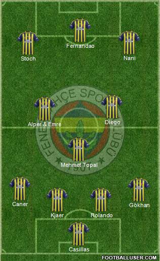 Fenerbahçe SK Formation 2015