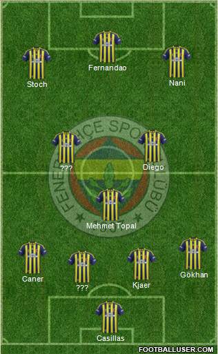 Fenerbahçe SK Formation 2015