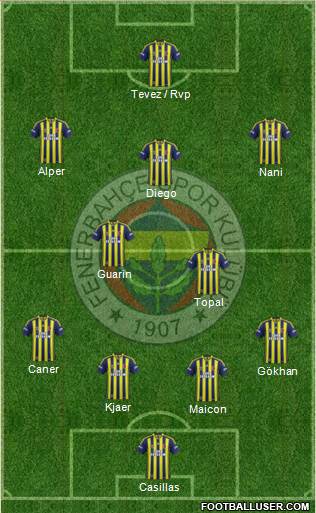 Fenerbahçe SK Formation 2015