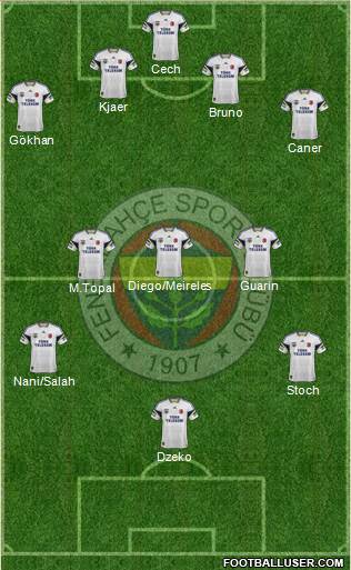 Fenerbahçe SK Formation 2015