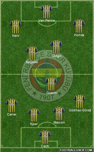 Fenerbahçe SK Formation 2015