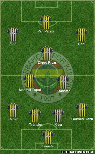 Fenerbahçe SK Formation 2015