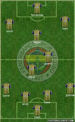 Fenerbahçe SK Formation 2015