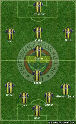Fenerbahçe SK Formation 2015