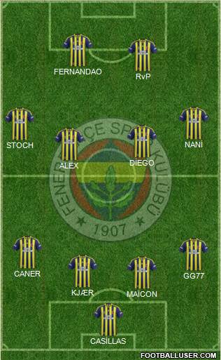 Fenerbahçe SK Formation 2015