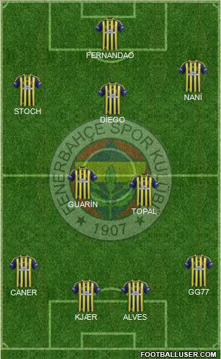 Fenerbahçe SK Formation 2015
