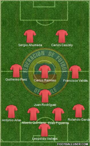 Chile Formation 2015
