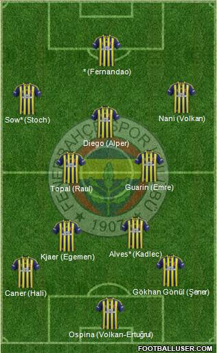 Fenerbahçe SK Formation 2015