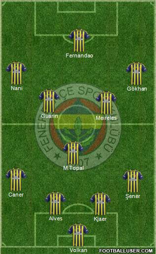Fenerbahçe SK Formation 2015