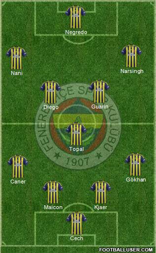 Fenerbahçe SK Formation 2015