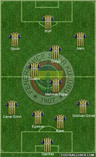 Fenerbahçe SK Formation 2015