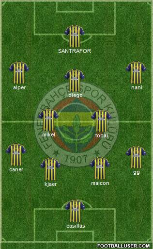 Fenerbahçe SK Formation 2015