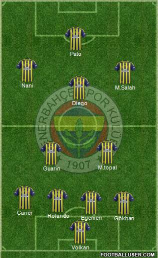 Fenerbahçe SK Formation 2015