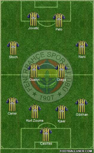 Fenerbahçe SK Formation 2015
