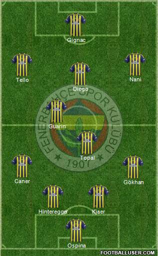 Fenerbahçe SK Formation 2015