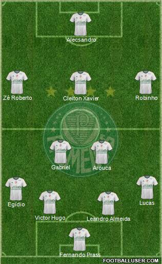 SE Palmeiras Formation 2015