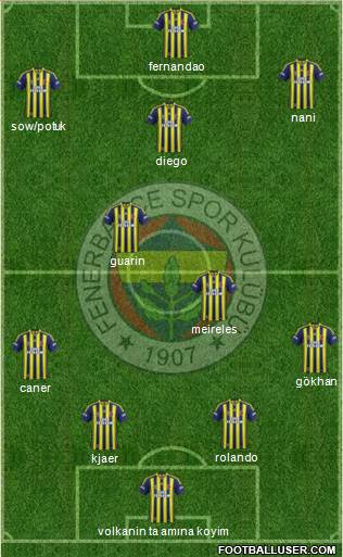 Fenerbahçe SK Formation 2015