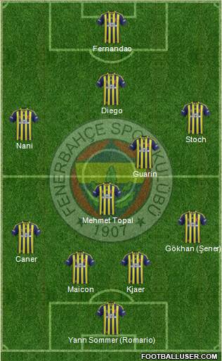 Fenerbahçe SK Formation 2015