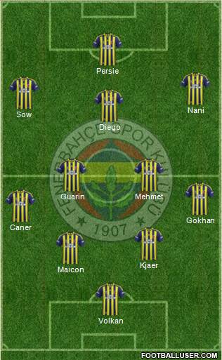 Fenerbahçe SK Formation 2015