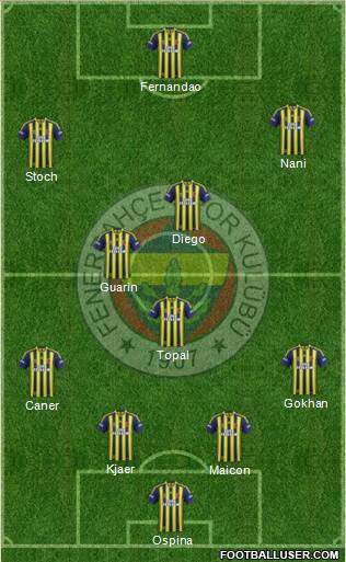 Fenerbahçe SK Formation 2015
