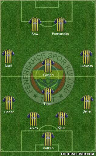 Fenerbahçe SK Formation 2015