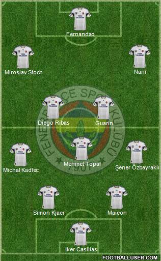 Fenerbahçe SK Formation 2015