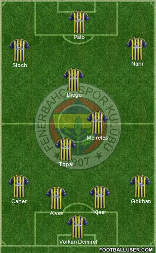 Fenerbahçe SK Formation 2015