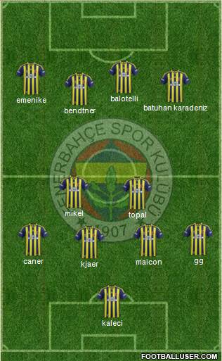 Fenerbahçe SK Formation 2015