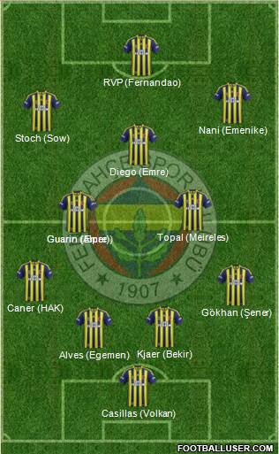 Fenerbahçe SK Formation 2015
