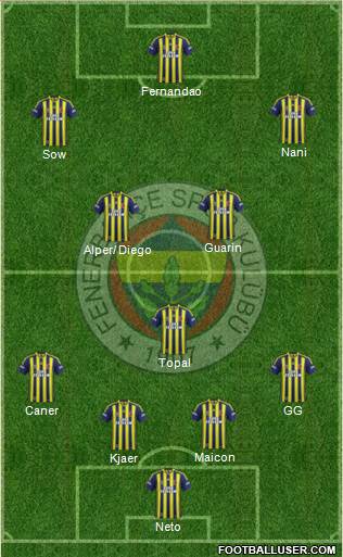 Fenerbahçe SK Formation 2015