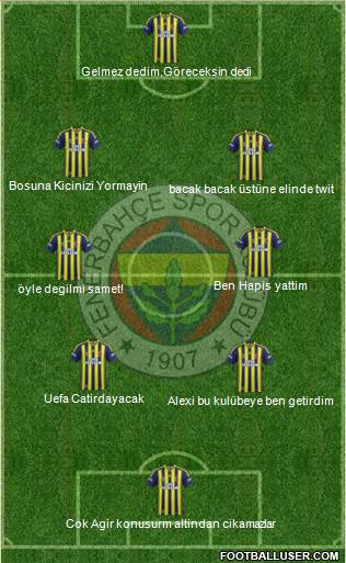 Fenerbahçe SK Formation 2015