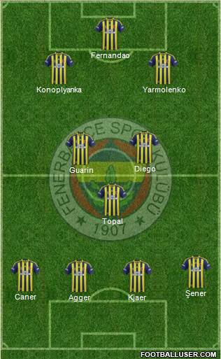 Fenerbahçe SK Formation 2015