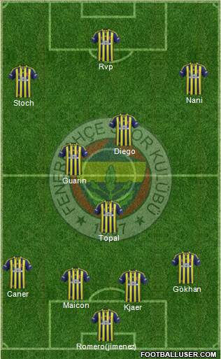 Fenerbahçe SK Formation 2015