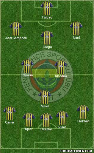 Fenerbahçe SK Formation 2015