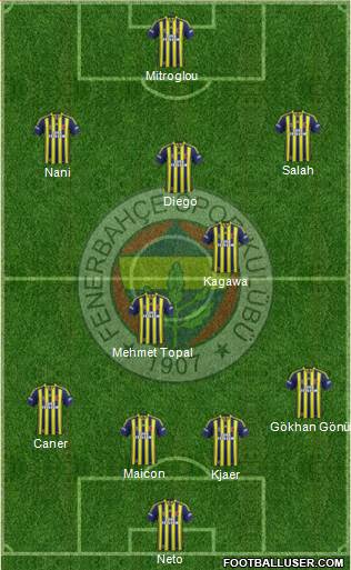 Fenerbahçe SK Formation 2015