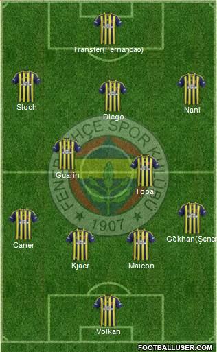 Fenerbahçe SK Formation 2015