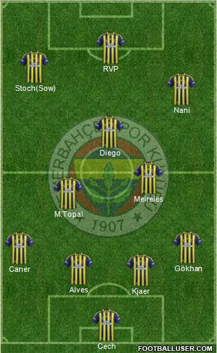 Fenerbahçe SK Formation 2015