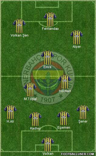 Fenerbahçe SK Formation 2015