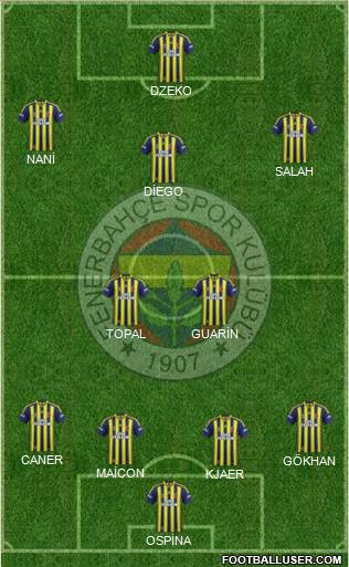 Fenerbahçe SK Formation 2015