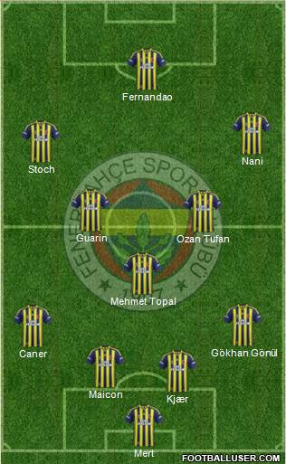 Fenerbahçe SK Formation 2015