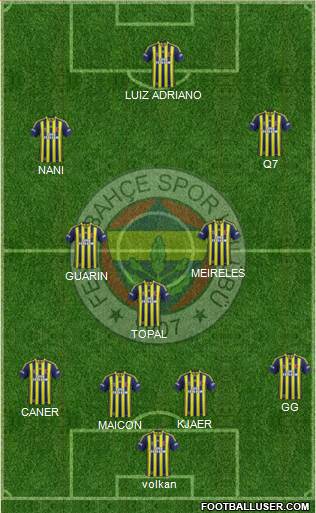 Fenerbahçe SK Formation 2015
