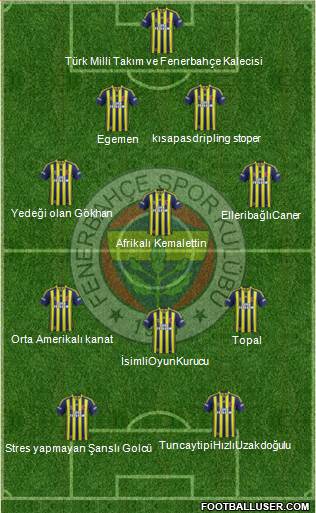 Fenerbahçe SK Formation 2015