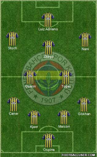 Fenerbahçe SK Formation 2015
