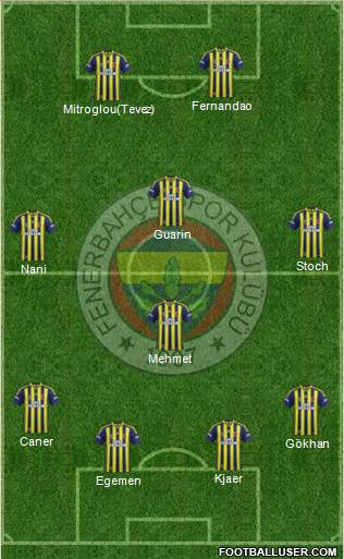 Fenerbahçe SK Formation 2015