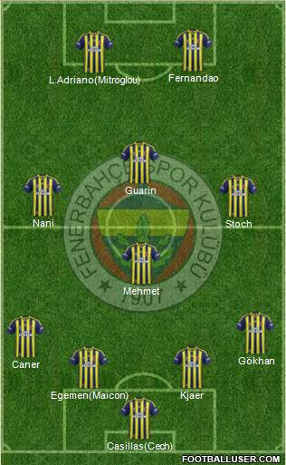 Fenerbahçe SK Formation 2015