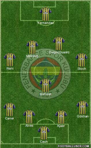 Fenerbahçe SK Formation 2015