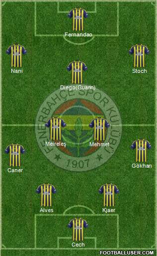 Fenerbahçe SK Formation 2015