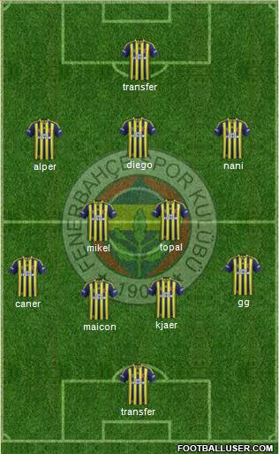 Fenerbahçe SK Formation 2015