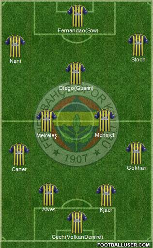 Fenerbahçe SK Formation 2015