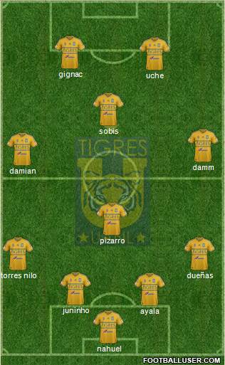 Club Universitario de Nuevo León Formation 2015